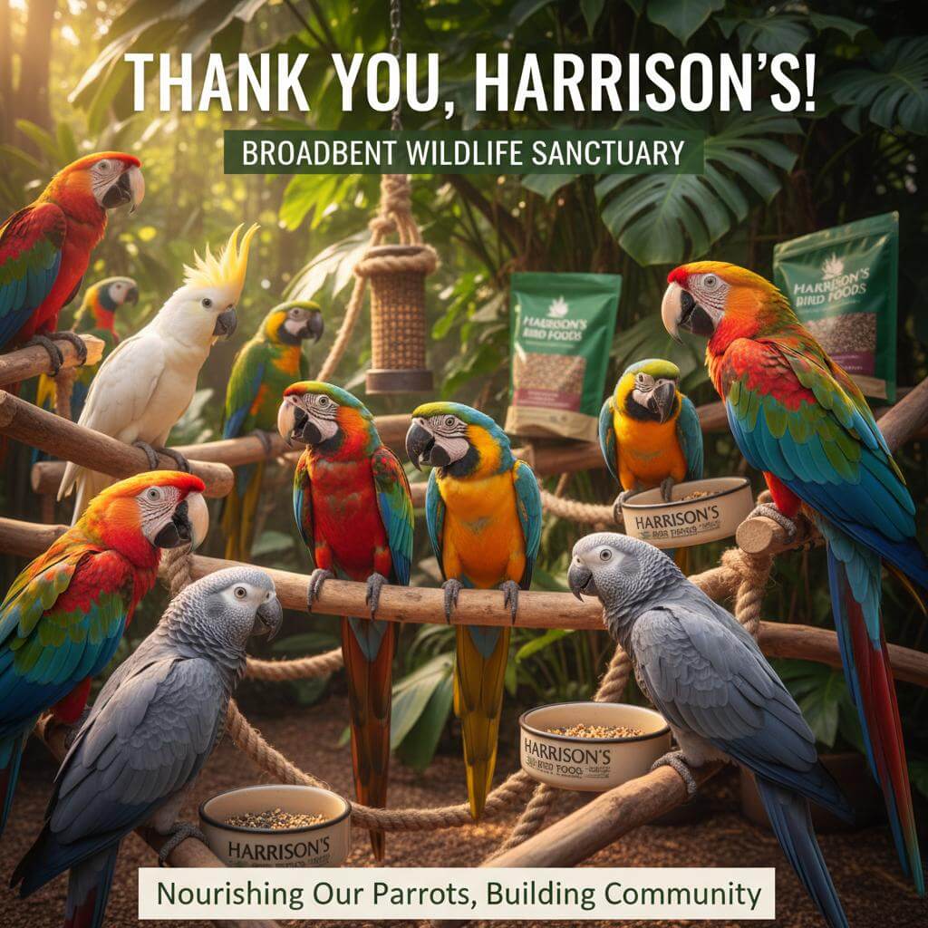 Thank You Harrison’s Bird Foods - Supporting Parrot Health with Premium Organic Nutrition