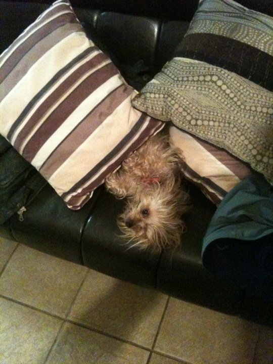 Image for the Tweet beginning: Here’s what December 24th keeps