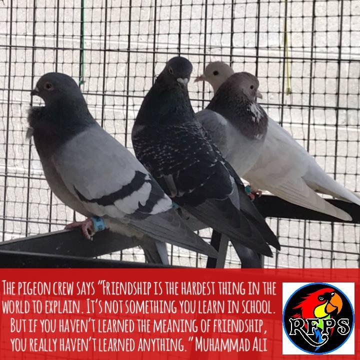 Image for the Tweet beginning: To all of you on